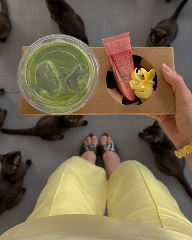 Luxury Pointy Heels- Brown