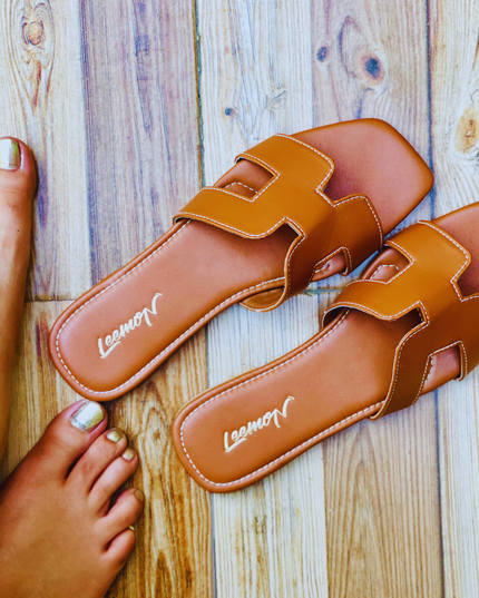 Brown Bliss Women Flat Sandals